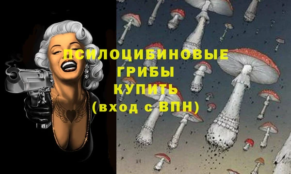 хмурый Армянск
