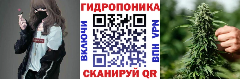 Шишки марихуана планчик Балабаново